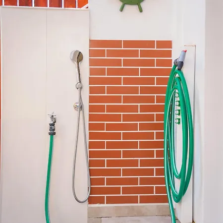 αλσύλλιο - Alsillio * לריסוס